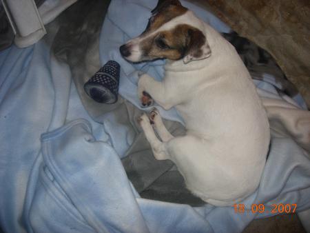 princesse moby