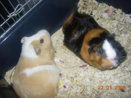 lili et fenouil
