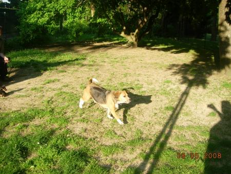 la mamie de sortie^^