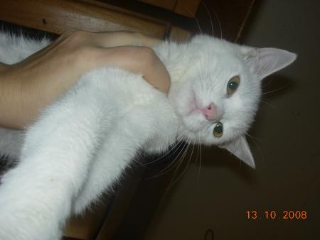 mina qui aime pas les photos